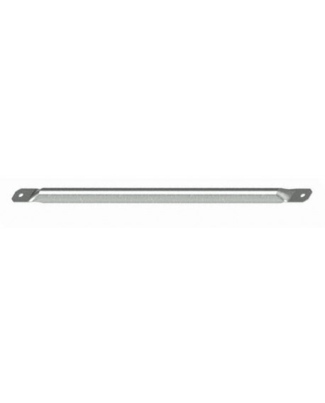 Bracon
